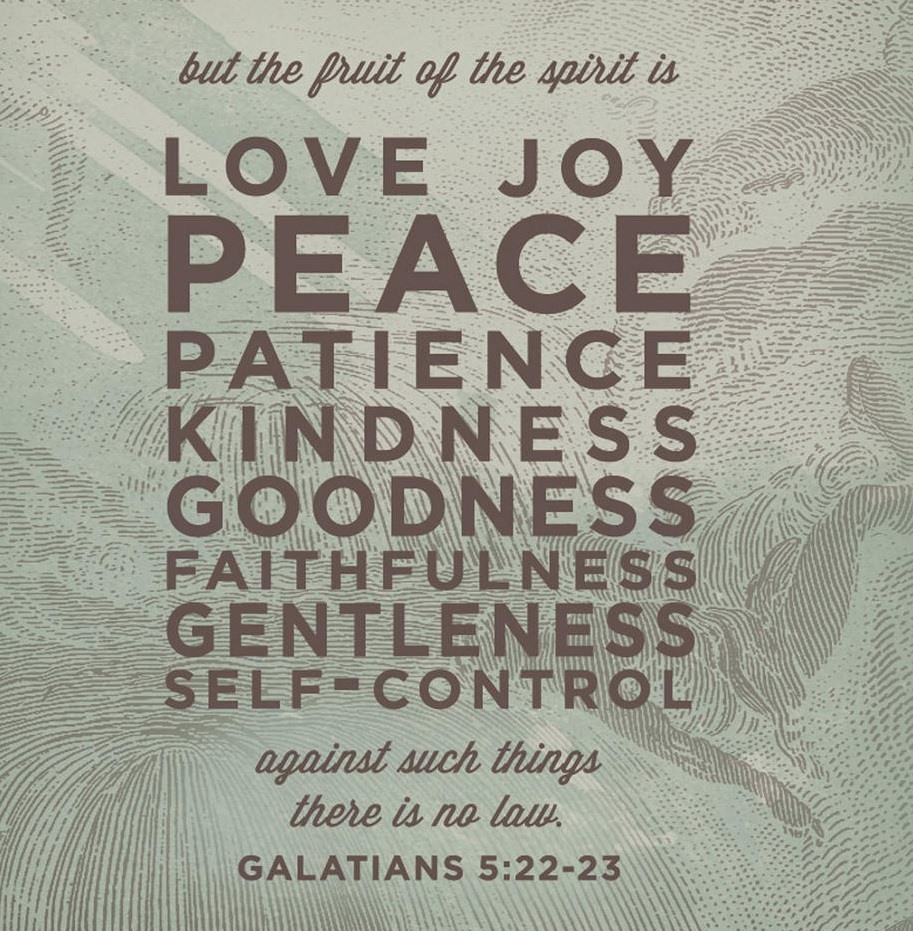 90391938_2719711924791765_5270418299509800960_n