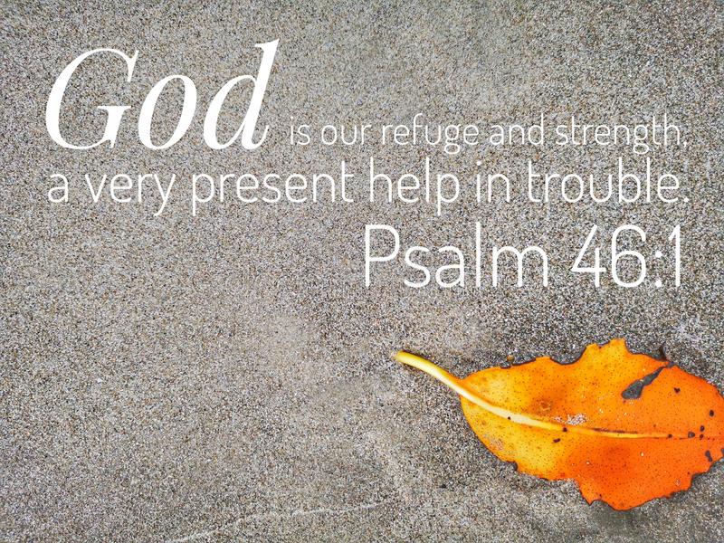 bible-collection-sacred-texts-scriptures-varying-parts-considered-to-be-product-divine-inspiration-record-141616482